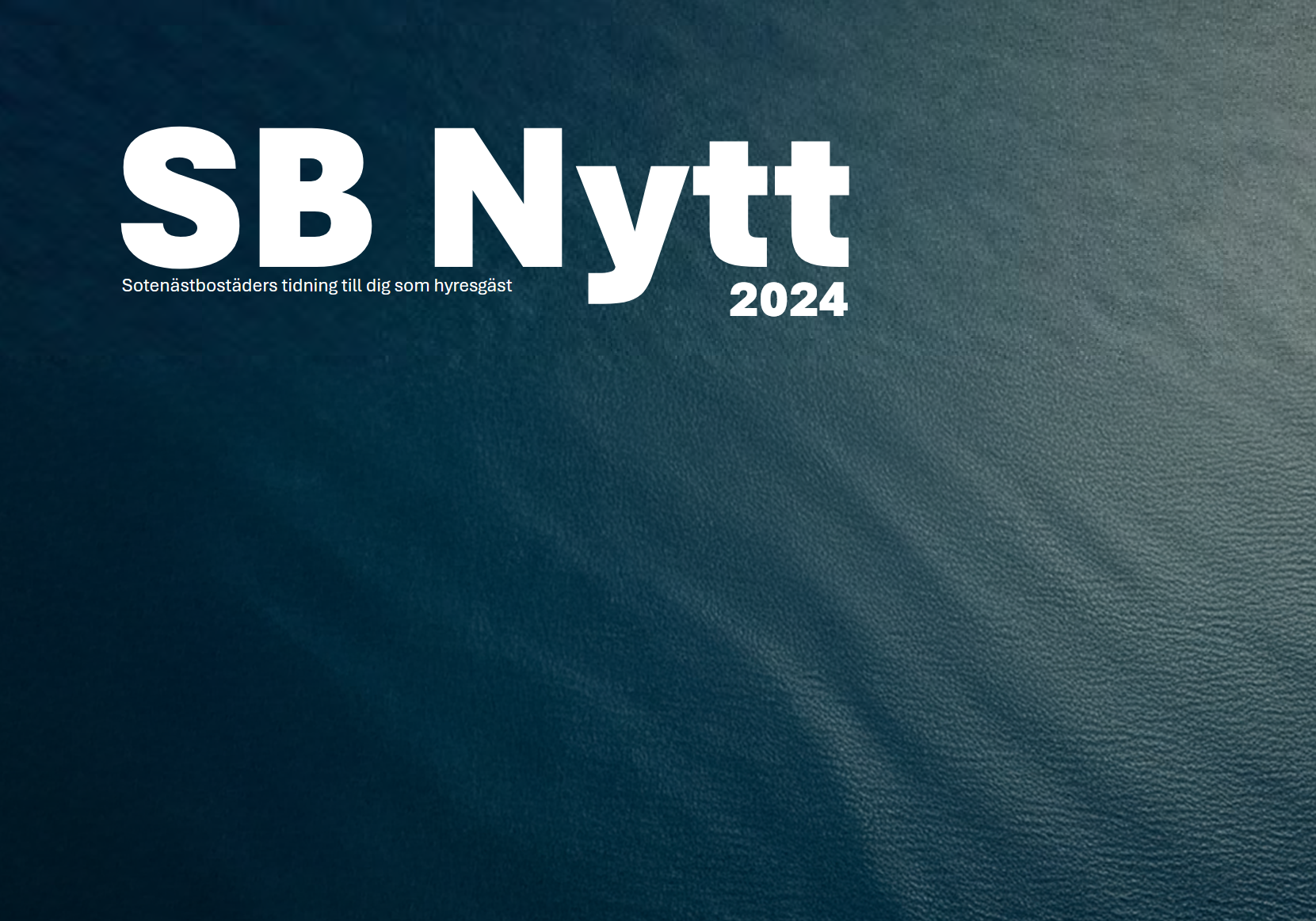 Omslagsbilden från SB Nytt 2024